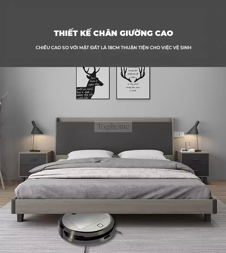 Bộ Giường Ngủ Togismart VX147