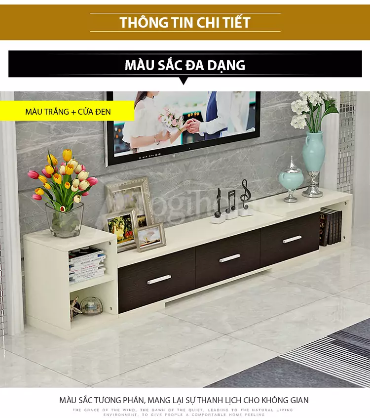 Chi tiết của kệ tủ TV TVC061