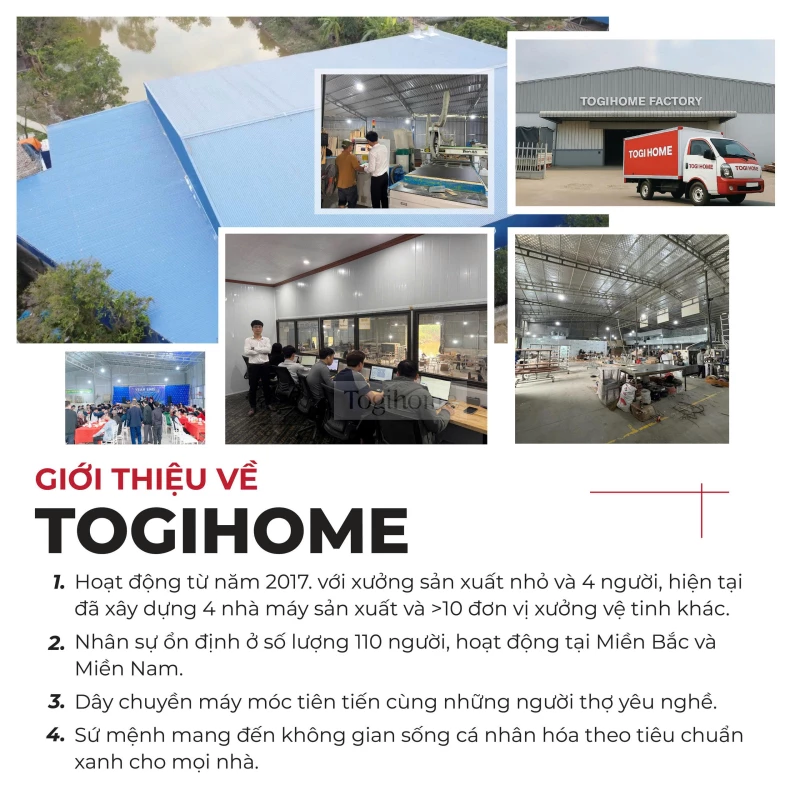 Tủ Giày Đa Ngăn Togismart TG022