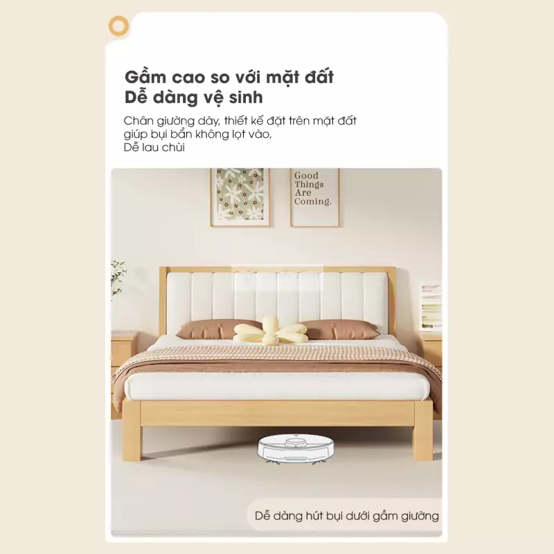 Giường gỗ tự nhiên tối giản, chắc chắn BR71 có gầm cao vệ sinh dễ dàng