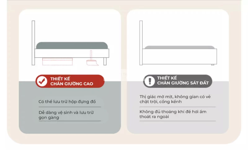 thiết kế chân giường cao dễ dàng vệ sinh của Giường trẻ em thiết kế tối giản, an toàn TE52