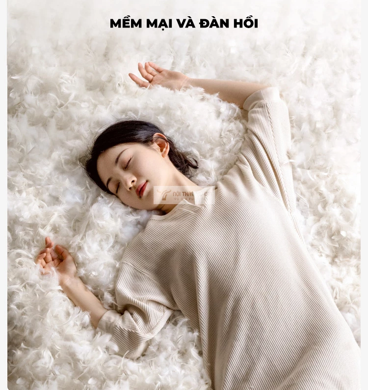 nệm mềm mại, êm ái của Sofa phòng khách gỗ tự nhiên cao cấp, thiết kế đa năng CBK7
