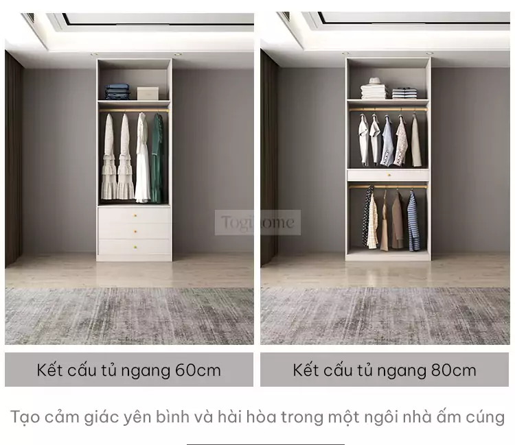 kết cấu tùy chọn tủ hai cánh của Tủ quần áo cánh mở sang trọng TQA061