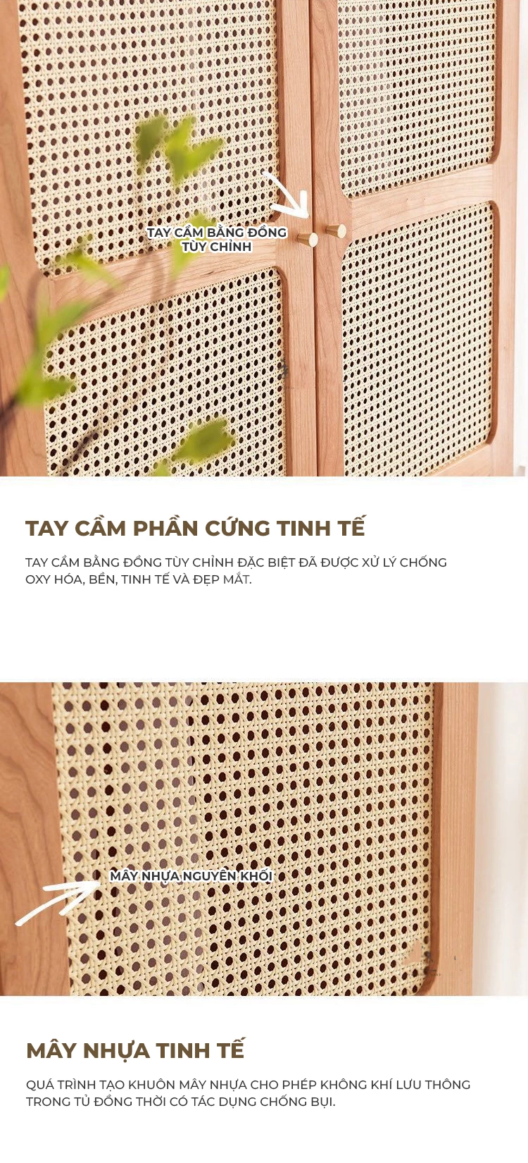 Tủ Quần Áo Gỗ Tự Nhiên Phong Cách Hiện Đại Haigo TQA244